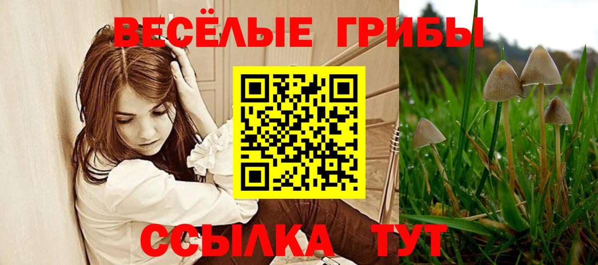 Псилоцибиновые грибы MAGIC MUSHROOMS Ейск